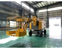 全自(zì)行曲臂車